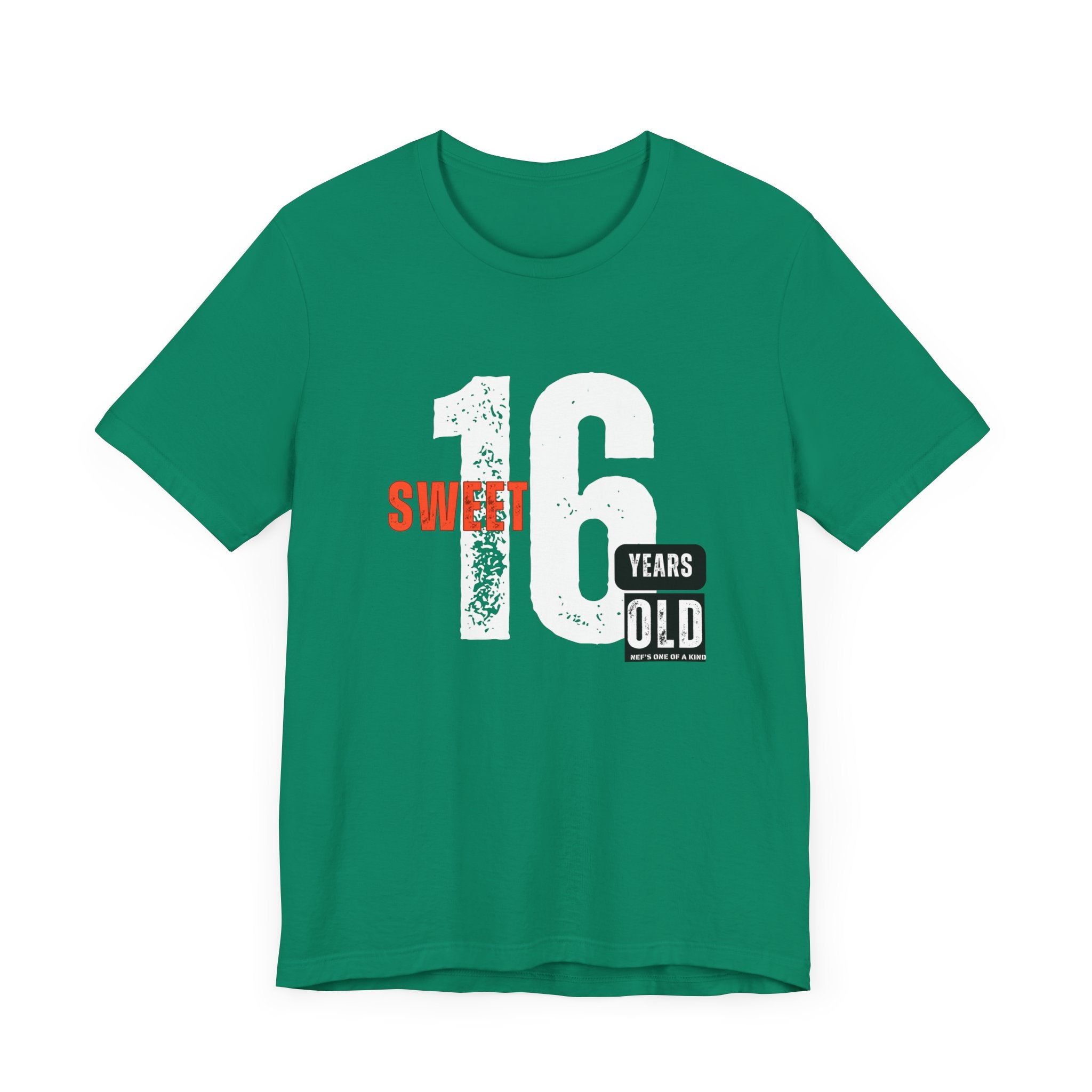 16year Old Unisex Adult Tee
